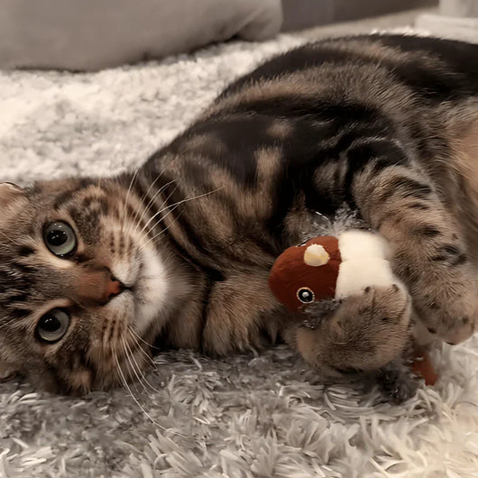 FlappingBird Toy™ | Juguete para gatos simulador de aves