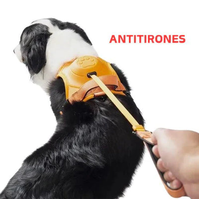 PetFlex Pro | Arnés Perro con Correa Retráctil