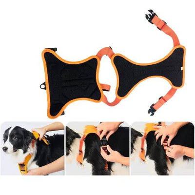 PetFlex Pro | Arnés Perro con Correa Retráctil