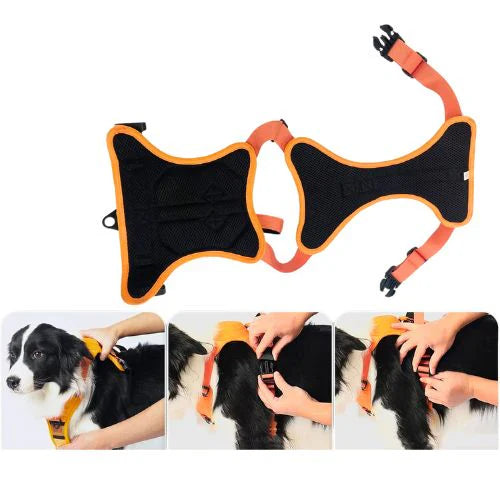 PetFlex Pro | Arnés Perro con Correa Retráctil